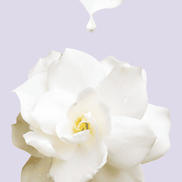 MOISTURIZING ESSENCE CREAM Crema Hidratante