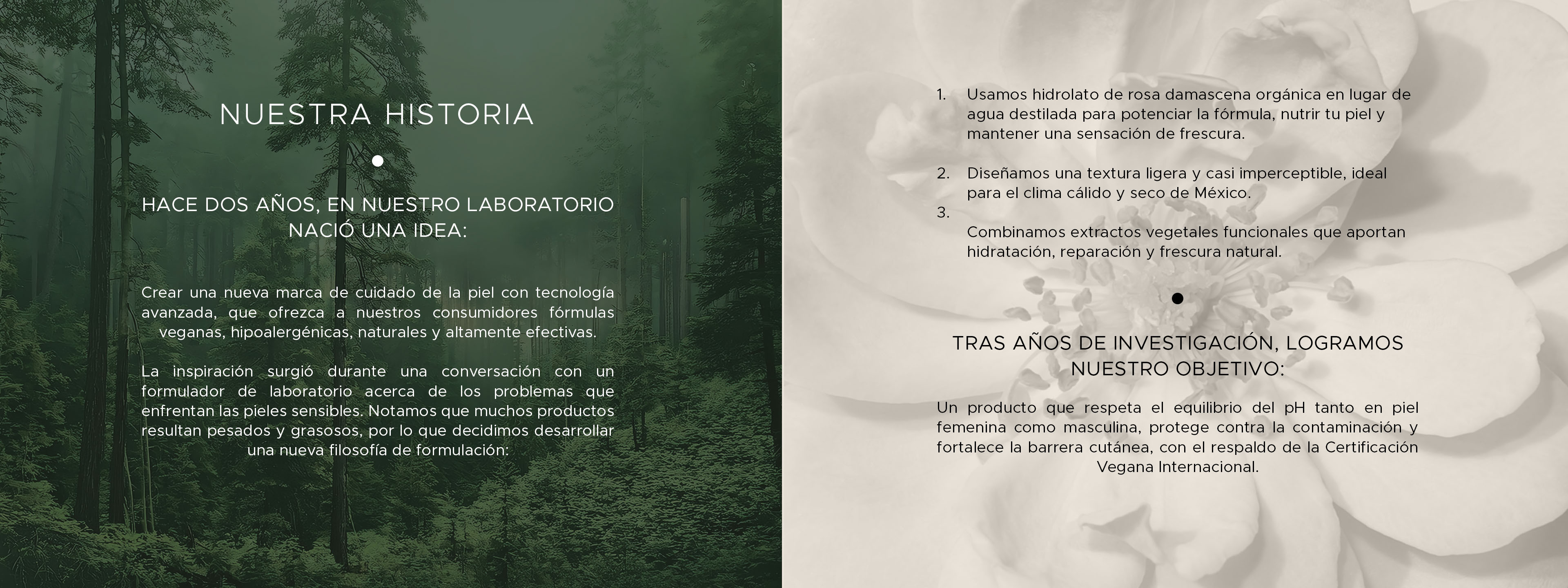 historia banner