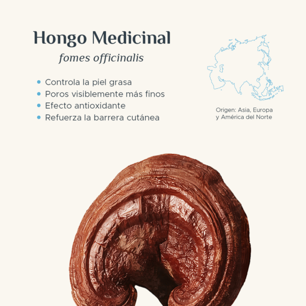 OIL CONTROL BALANCE ESSENCE CREAM Crema Control Grasa