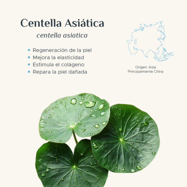 OIL CONTROL BALANCE ESSENCE CREAM Crema Control Grasa